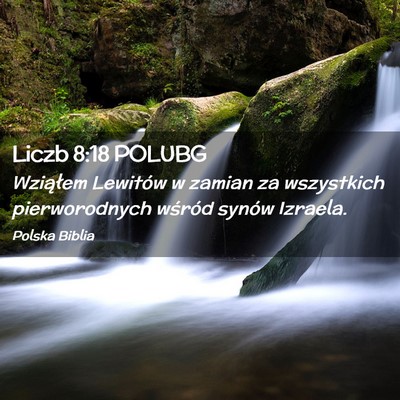 Picture 02 - Liczb 8:18 POLUBG - Wziąłem Lewitów w zamian za wszystkich - Bible Verse Picture
