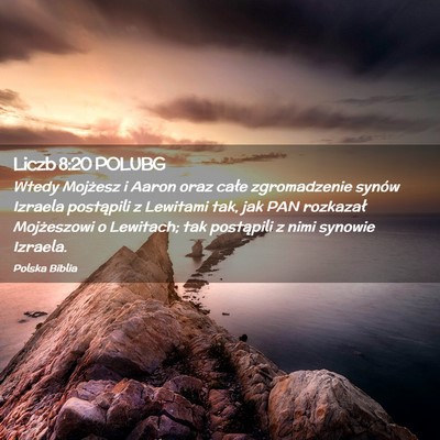 Picture 02 - Liczb 8:20 POLUBG - Wtedy Mojżesz i Aaron oraz całe zgromadzenie - Bible Verse Picture