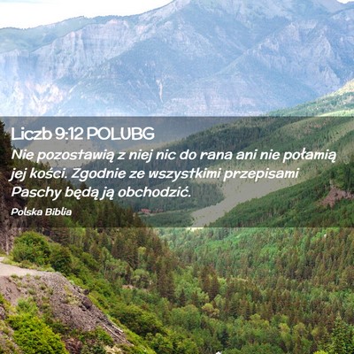 Picture 02 - Liczb 9:12 POLUBG - Nie pozostawią z niej nic do rana ani nie - Bible Verse Picture