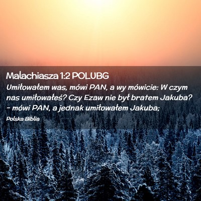 Picture 02 - Malachiasza 1:2 POLUBG - Umiłowałem was, mówi PAN, a wy mówicie: W - Bible Verse Picture