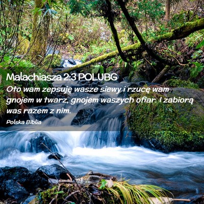 Picture 02 - Malachiasza 2:3 POLUBG - Oto wam zepsuję wasze siewy i rzucę wam gnojem - Bible Verse Picture