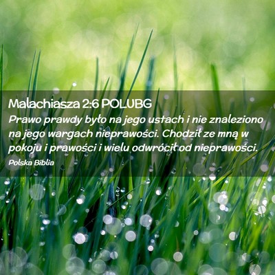 Picture 02 - Malachiasza 2:6 POLUBG - Prawo prawdy było na jego ustach i nie - Bible Verse Picture