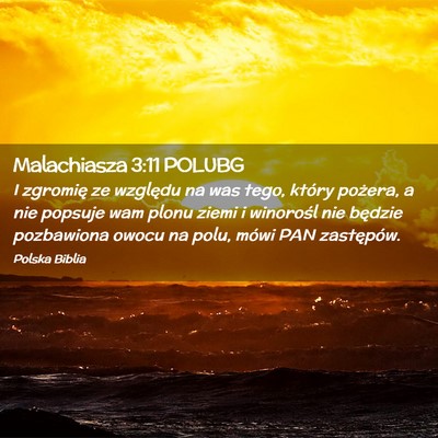 Picture 02 - Malachiasza 3:11 POLUBG - I zgromię ze względu na was tego, który - Bible Verse Picture