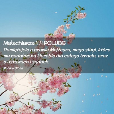Picture 02 - Malachiasza 4:4 POLUBG - Pamiętajcie o prawie Mojżesza, mego sługi, - Bible Verse Picture