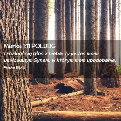 Picture 02 - Marka 1:11 POLUBG - I rozległ się głos z nieba: Ty jesteś moim - Bible Verse Picture