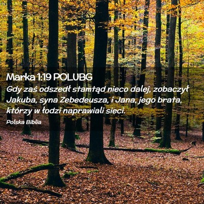 Picture 02 - Marka 1:19 POLUBG - Gdy zaś odszedł stamtąd nieco dalej, zobaczył - Bible Verse Picture