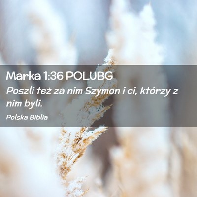 Picture 02 - Marka 1:36 POLUBG - Poszli też za nim Szymon i ci, którzy z nim - Bible Verse Picture