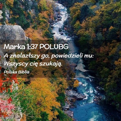 Picture 02 - Marka 1:37 POLUBG - A znalazłszy go, powiedzieli mu: Wszyscy cię - Bible Verse Picture
