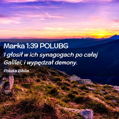 Picture 02 - Marka 1:39 POLUBG - I głosił w ich synagogach po całej Galilei, i - Bible Verse Picture