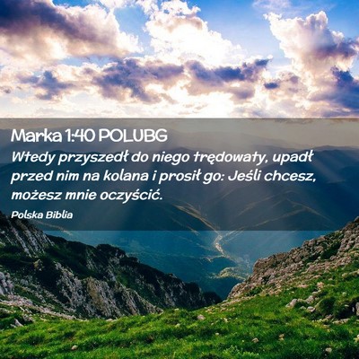Picture 02 - Marka 1:40 POLUBG - Wtedy przyszedł do niego trędowaty, upadł - Bible Verse Picture