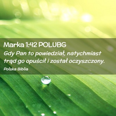 Picture 02 - Marka 1:42 POLUBG - Gdy Pan to powiedział, natychmiast trąd go - Bible Verse Picture