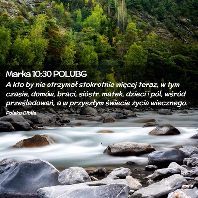 Picture 02 - Marka 10:30 POLUBG - A kto by nie otrzymał stokrotnie więcej teraz, - Bible Verse Picture