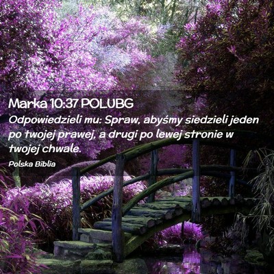Picture 02 - Marka 10:37 POLUBG - Odpowiedzieli mu: Spraw, abyśmy siedzieli jeden - Bible Verse Picture