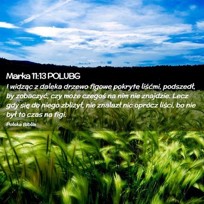 Picture 02 - Marka 11:13 POLUBG - I widząc z daleka drzewo figowe pokryte - Bible Verse Picture