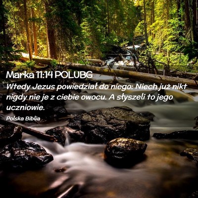 Picture 02 - Marka 11:14 POLUBG - Wtedy Jezus powiedział do niego: Niech już nikt - Bible Verse Picture