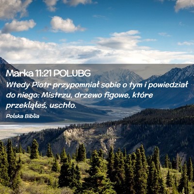 Picture 02 - Marka 11:21 POLUBG - Wtedy Piotr przypomniał sobie o tym i - Bible Verse Picture