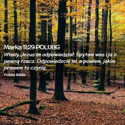 Picture 02 - Marka 11:29 POLUBG - Wtedy Jezus im odpowiedział: Spytam was i ja o - Bible Verse Picture