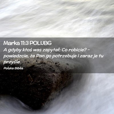 Picture 02 - Marka 11:3 POLUBG - A gdyby ktoś was zapytał: Co robicie? – - Bible Verse Picture