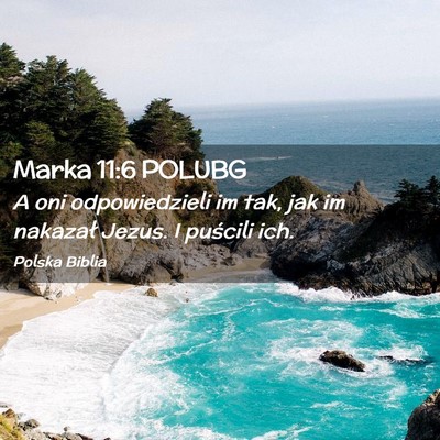 Picture 02 - Marka 11:6 POLUBG - A oni odpowiedzieli im tak, jak im nakazał - Bible Verse Picture