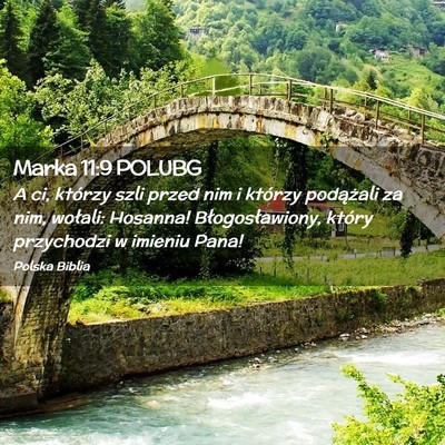 Picture 02 - Marka 11:9 POLUBG - A ci, którzy szli przed nim i którzy podążali - Bible Verse Picture