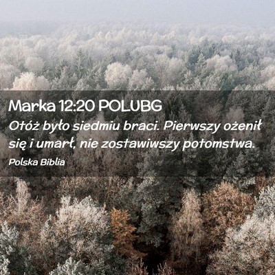 Picture 02 - Marka 12:20 POLUBG - Otóż było siedmiu braci. Pierwszy ożenił - Bible Verse Picture