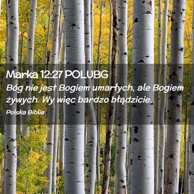 Picture 02 - Marka 12:27 POLUBG - Bóg nie jest Bogiem umarłych, ale Bogiem - Bible Verse Picture