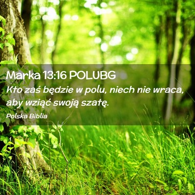 Picture 02 - Marka 13:16 POLUBG - Kto zaś będzie w polu, niech nie wraca, aby - Bible Verse Picture