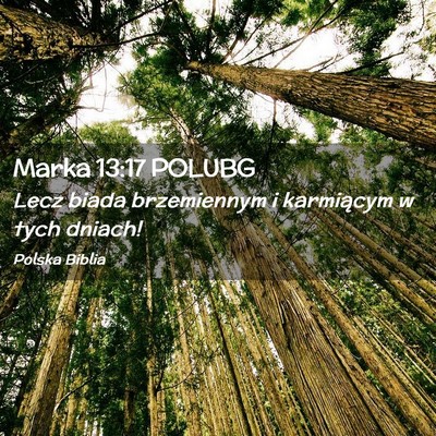 Picture 02 - Marka 13:17 POLUBG - Lecz biada brzemiennym i karmiącym w tych - Bible Verse Picture