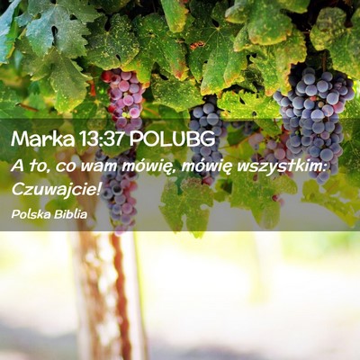 Picture 02 - Marka 13:37 POLUBG - A to, co wam mówię, mówię wszystkim: - Bible Verse Picture