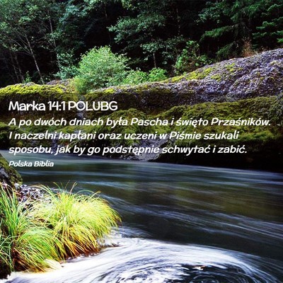 Picture 02 - Marka 14:1 POLUBG - A po dwóch dniach była Pascha i święto - Bible Verse Picture