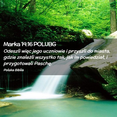 Picture 02 - Marka 14:16 POLUBG - Odeszli więc jego uczniowie i przyszli do - Bible Verse Picture