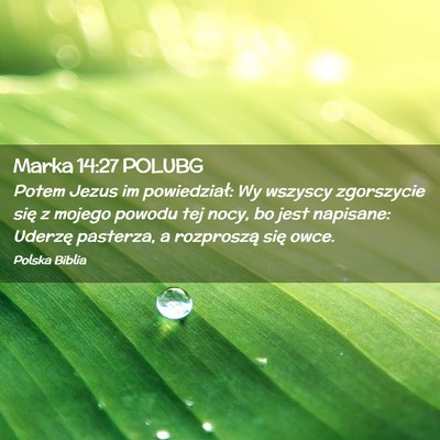 Picture 02 - Marka 14:27 POLUBG - Potem Jezus im powiedział: Wy wszyscy zgorszycie - Bible Verse Picture