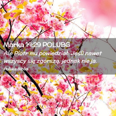 Picture 02 - Marka 14:29 POLUBG - Ale Piotr mu powiedział: Jeśli nawet wszyscy - Bible Verse Picture