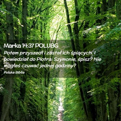 Picture 02 - Marka 14:37 POLUBG - Potem przyszedł i zastał ich śpiących. I - Bible Verse Picture