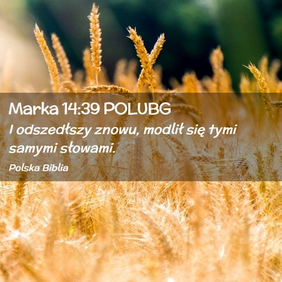 Picture 02 - Marka 14:39 POLUBG - I odszedłszy znowu, modlił się tymi samymi - Bible Verse Picture