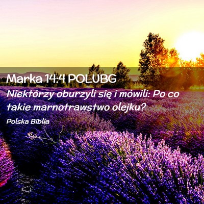 Picture 02 - Marka 14:4 POLUBG - Niektórzy oburzyli się i mówili: Po co takie - Bible Verse Picture