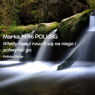 Picture 02 - Marka 14:46 POLUBG - Wtedy tamci rzucili się na niego i schwytali - Bible Verse Picture