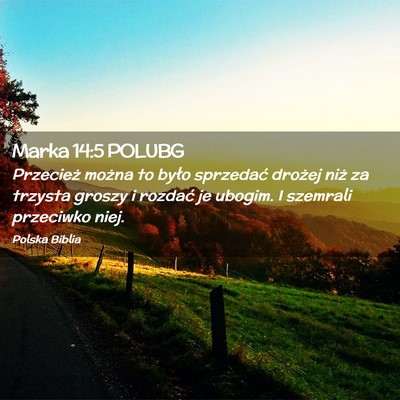 Picture 02 - Marka 14:5 POLUBG - Przecież można to było sprzedać drożej niż - Bible Verse Picture