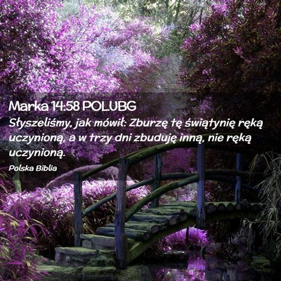 Picture 02 - Marka 14:58 POLUBG - Słyszeliśmy, jak mówił: Zburzę tę - Bible Verse Picture