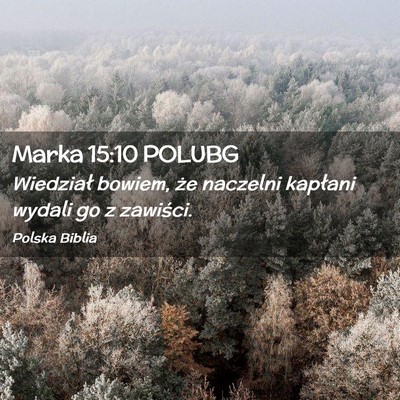 Picture 02 - Marka 15:10 POLUBG - Wiedział bowiem, że naczelni kapłani wydali go - Bible Verse Picture