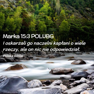 Picture 02 - Marka 15:3 POLUBG - I oskarżali go naczelni kapłani o wiele rzeczy, - Bible Verse Picture