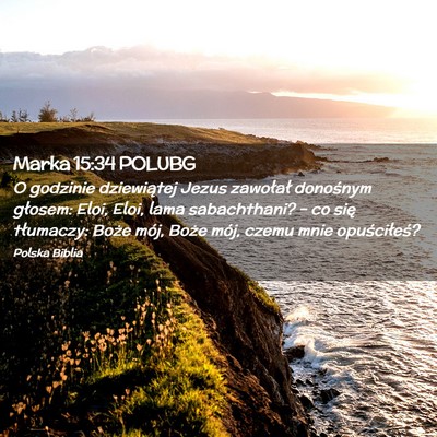 Picture 02 - Marka 15:34 POLUBG - O godzinie dziewiątej Jezus zawołał donośnym - Bible Verse Picture