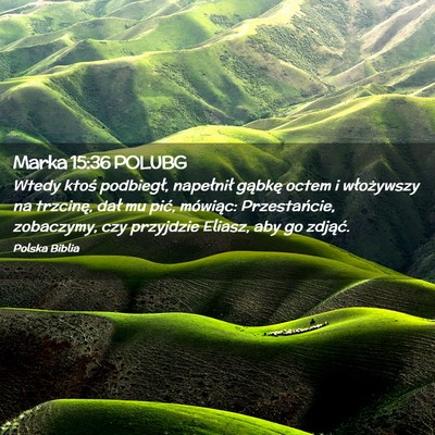 Picture 02 - Marka 15:36 POLUBG - Wtedy ktoś podbiegł, napełnił gąbkę octem i - Bible Verse Picture