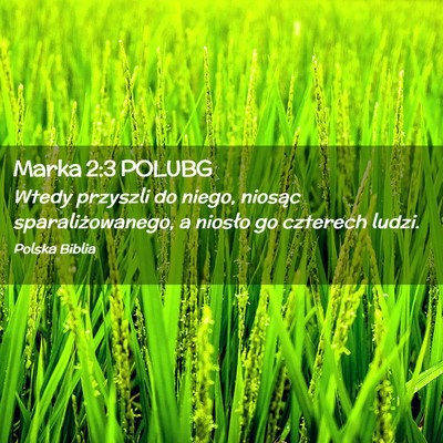 Picture 02 - Marka 2:3 POLUBG - Wtedy przyszli do niego, niosąc - Bible Verse Picture