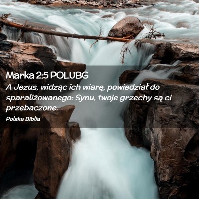Picture 02 - Marka 2:5 POLUBG - A Jezus, widząc ich wiarę, powiedział do - Bible Verse Picture
