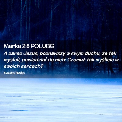 Picture 02 - Marka 2:8 POLUBG - A zaraz Jezus, poznawszy w swym duchu, że tak - Bible Verse Picture