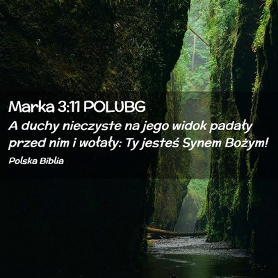 Picture 02 - Marka 3:11 POLUBG - A duchy nieczyste na jego widok padały przed nim - Bible Verse Picture
