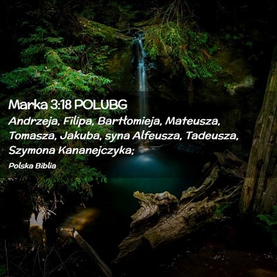 Picture 02 - Marka 3:18 POLUBG - Andrzeja, Filipa, Bartłomieja, Mateusza, - Bible Verse Picture