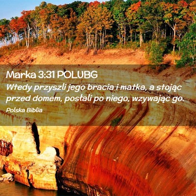 Picture 02 - Marka 3:31 POLUBG - Wtedy przyszli jego bracia i matka, a stojąc - Bible Verse Picture
