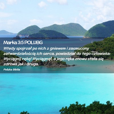 Picture 02 - Marka 3:5 POLUBG - Wtedy spojrzał po nich z gniewem i zasmucony - Bible Verse Picture